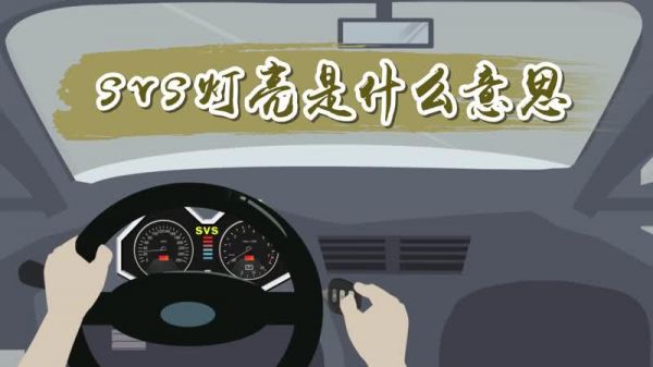 svs是什么意思（汽车故障svs是什么意思）-图2