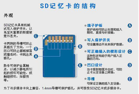 sd卡能存什么（sd卡能用在哪些设备上）-图1