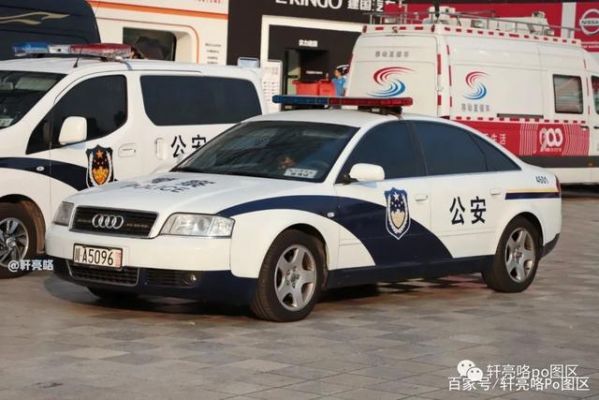 警车长什么样（警车长什么样的）-图3