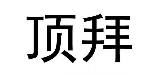 顶什么（顶什么什么拜）