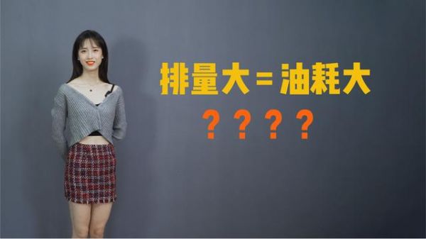 汽车排量是什么意思（汽车排量是什么意思?蚝油）-图2