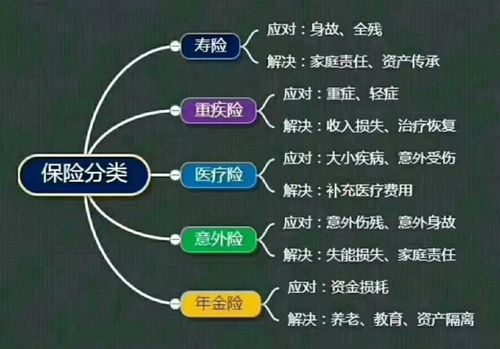 保险都是有什么险种（保险都有些什么险种）-图1